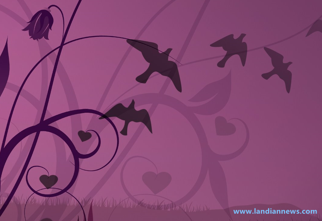 Windows8/8.1小清新桌面主题：爱情鸟