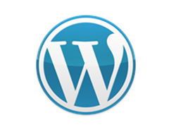 WordPress链接自动添加Noopener Noreferrer的解决办法