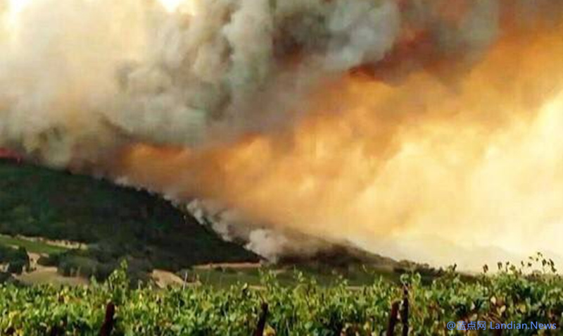 Windows XP经典壁纸的拍摄所在地侥幸躲过加州山火