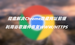[教程] 利用谷歌提供的插件彻底解决Chrome隐藏WWW和HTTPS问题