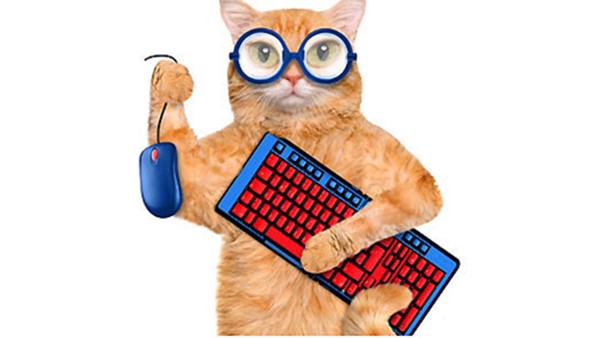 夜里悄悄发张图，防止白天发被骂水文章，看懂的点赞🐶🐶🐶